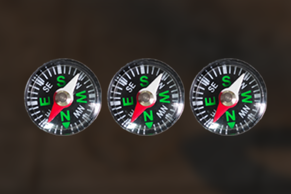 Compass Dial